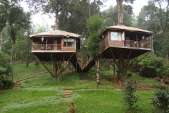 munnar-tree-house