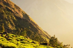 banner_02